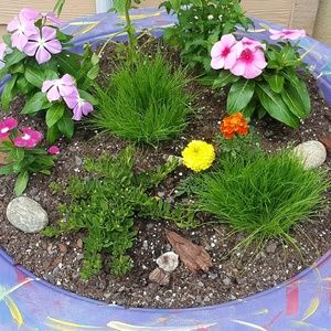 Meet your Posher, Tausha